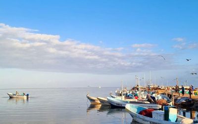 Mesoamerican Reef Conservation