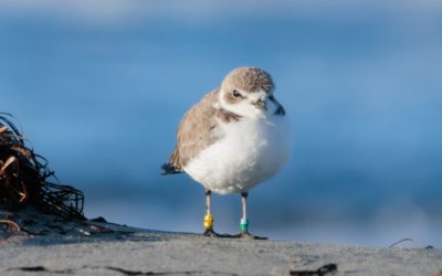 Coastal Lands Fund