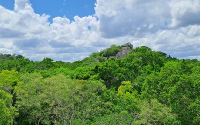Fondo de Conservación Calakmul