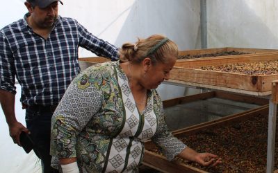 Conservación de Cuencas Costeras en el Contexto de Cambio Climático (C6)