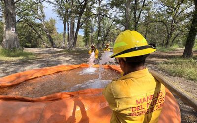 Conservación de la Biodiversidad en la Sierra Madre Oriental y el Golfo de México (Sierra y Mar)